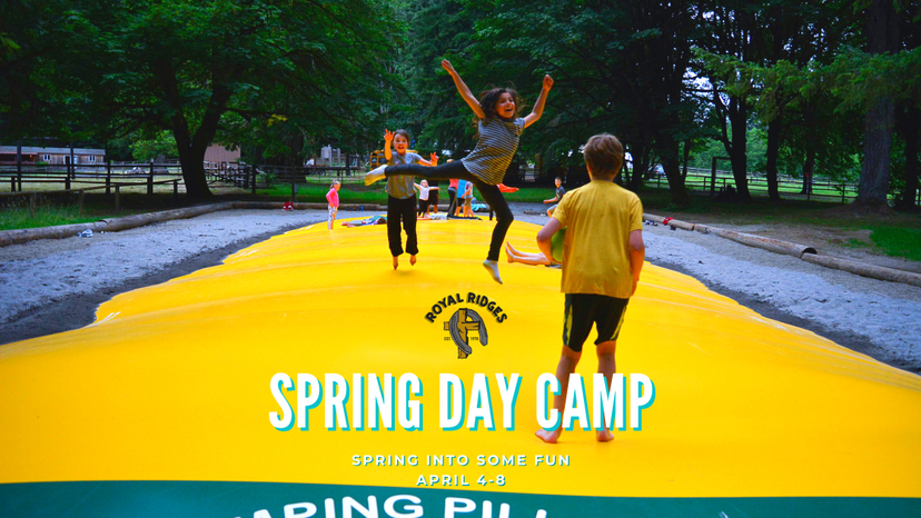 spring camp