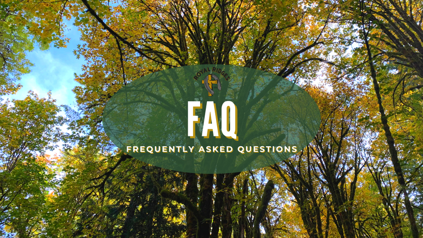 faqs