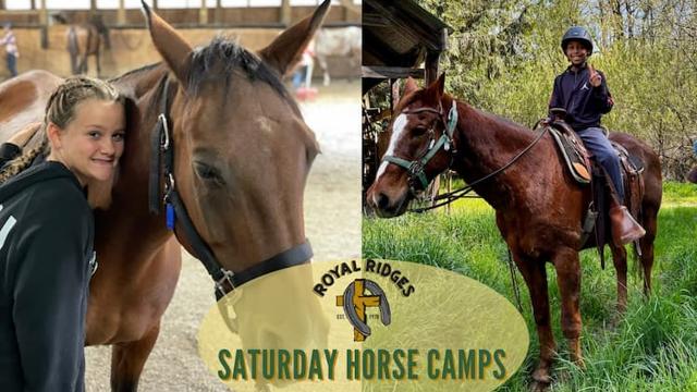 Royal Ridges Retreat