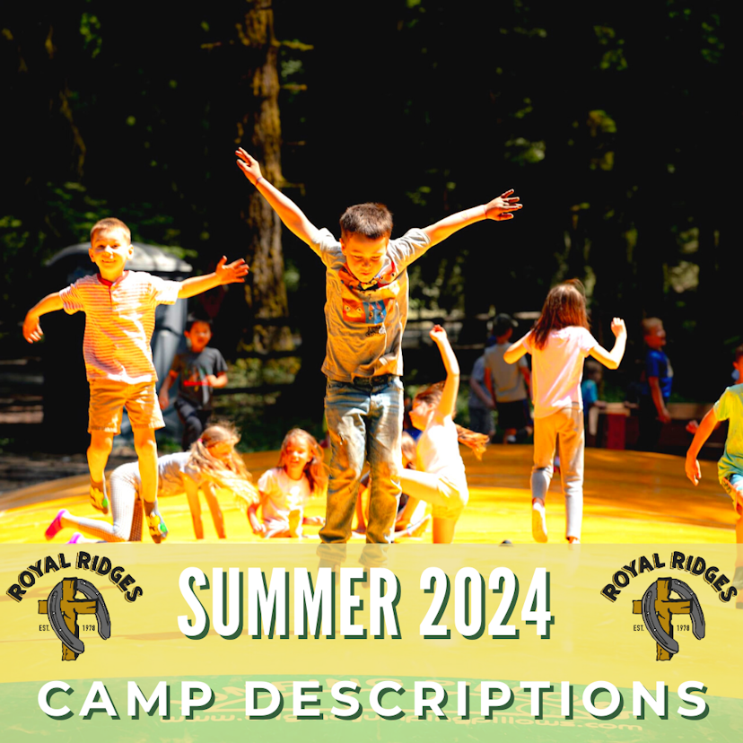 summer camp descriptions