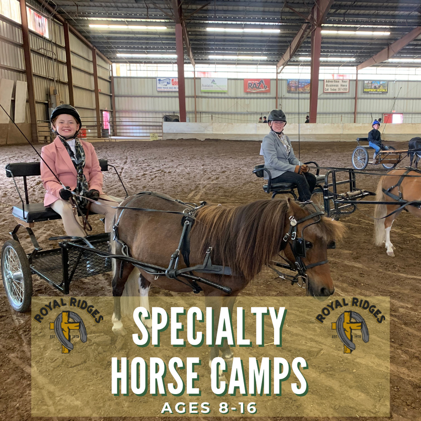 multi-week-camp