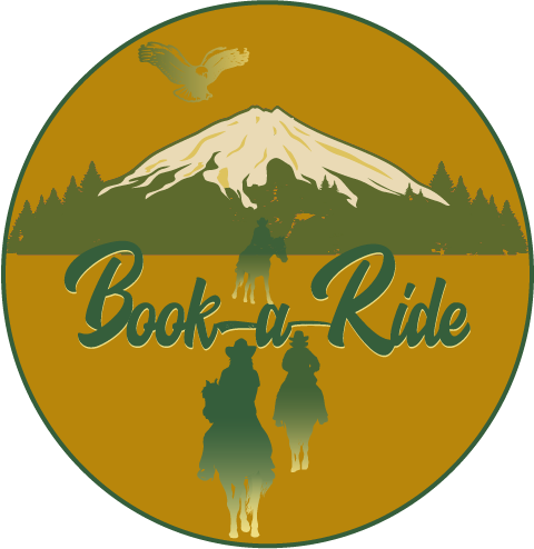 Book a Ride