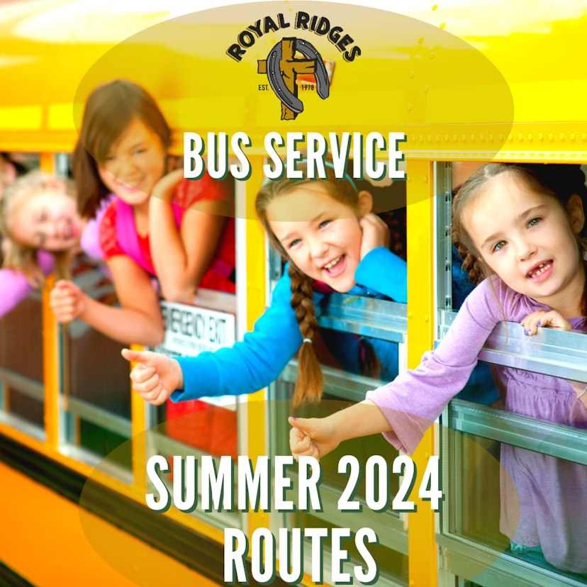 summer bus service