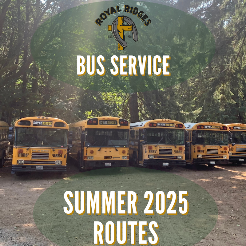 summer bus service