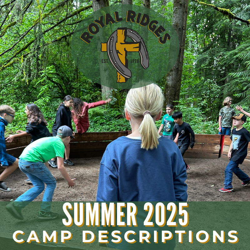 summer camp descriptions
