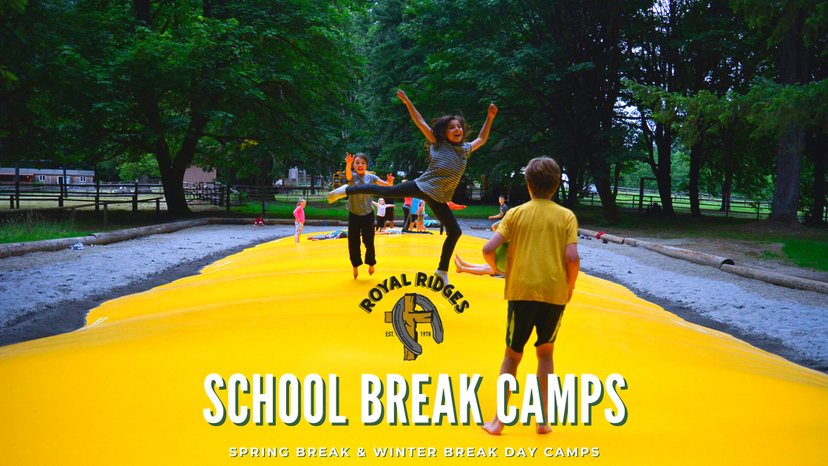 summer camp descriptions