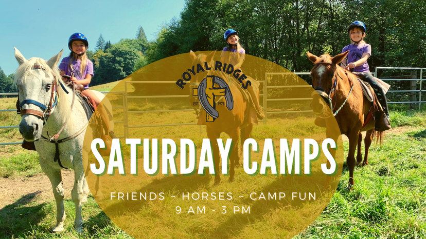 saturday camp